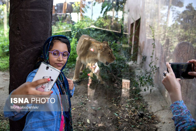 57924774_Mona-Hoobehfekr-1