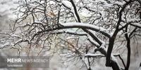 سرمای شدید در راه تهران/ هشدار بارش باران و برف از امروز