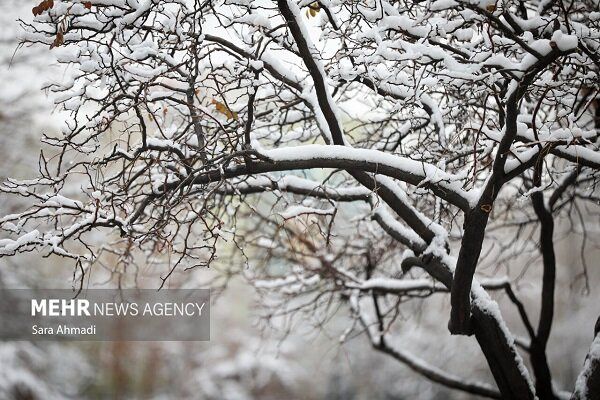 اطلاعیه مهم سازمان هواشناسی / برف و باران به کدام استان‌ها می‌رسد؟