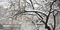 این استان‌ها از شنبه منتظر برف و باران باشند 