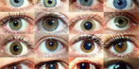 توانایی عجیب چشم رنگی ها 