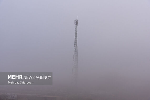 3961390_MSD_8544109