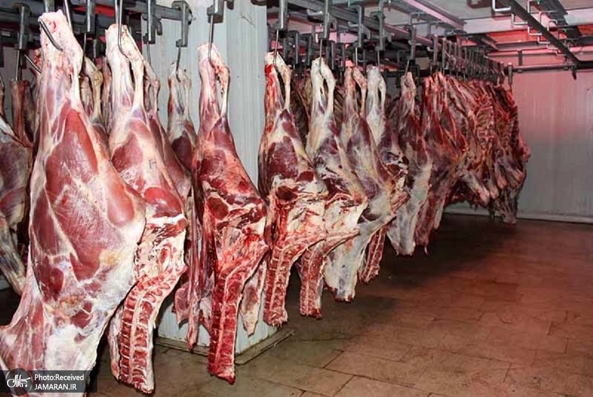 قیمت جدید گوشت قرمز / شقه گوسفندی چند؟  + جدول