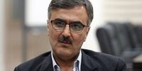 خبر مهم فرزین درباره ارز مسافرتی/ ارزهای محلی جایگزین دلار می شود؟