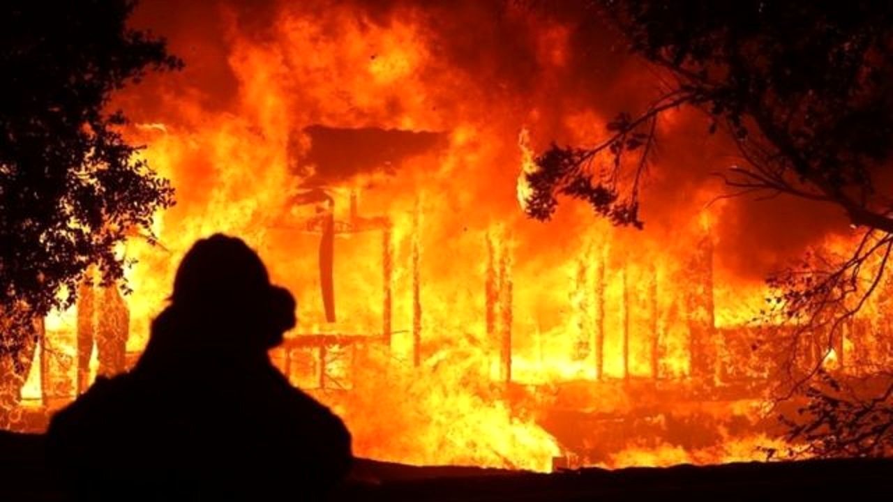 آتش‌سوزی گسترده در جنگل‌های فنلاند