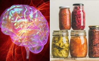 تاثیر بی‌نظیر غذاهای تخمیر شده بر سلامت روان