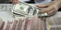 شناسایی و انهدام اعضای یک شبکه اخلالگر نظام ارزی 