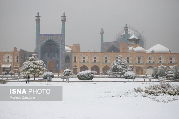 61540545_morteza-zanganeh-1616