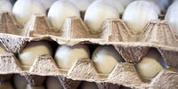 در شرایط کرونا این تخم مرغ ها را نخرید!