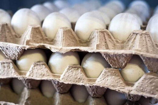 در شرایط کرونا این تخم مرغ ها را نخرید!
