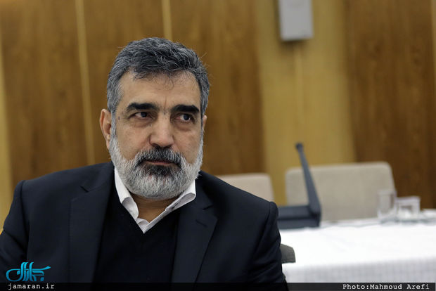 خبر سخنگوی سازمان انرژی اتمی از فعال شدن 10 دوربین آژانس در اصفهان