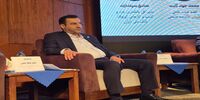 هشدار معاون وزیر کار درباره آینده اقتصاد دیجیتال در ایران؛ بدون سرمایه‌گذاری در مهارت‌آموزی، مجبور به واردات نیروی متخصص می‌شویم | مالیات و بیمه از چالش‌های توسعه کسب‌وکارهای دیجیتال هستند