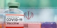 ورود ۲ تا ۳ واکسن ایرانی کرونا به کارآزمایی بالینی تا آخر بهمن