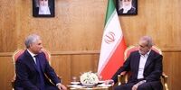 رئیس جمهور روسیه اهمیت زیادی برای توسعه روابط با ایران قائل است
