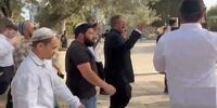 درخواست عجیب یک نماینده کنست درباره فلسطینی ها