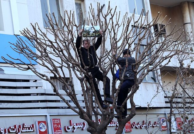 مراسم تشییع پیکر آیت الله هاشمی رفسنجانی (2)