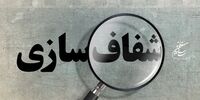 این طرح مجلس شیر بی یال و دم شده است!