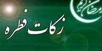 میزان زکات فطره از نظر آیت‌الله نوری‌ همدانی 