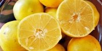 چرا قیمت لیمو شیرین سر به فلک کشید؟