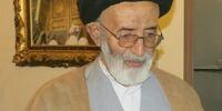 سیدمحمدحسن محقق به ملکوت اعلی پیوست