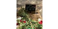 مسعود احمدی در خانه ابدی اش آرام گرفت