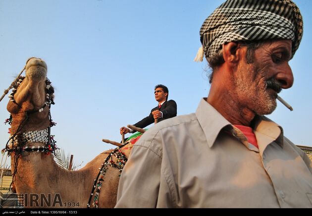 عروسی سنتی در قشم