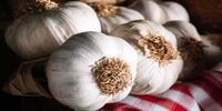 6 گروه از افراد به هیچ وجه نباید سیر بخورند