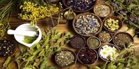 مصرف این ۷ گیاه دارویی برای سلامتی بدن  معجزه می‌کند