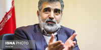 واکنش کمالوندی به «گزینه روی میز» غرب/  جنبه تبلیغاتی دارد! 