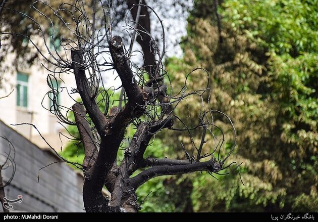 تصاویر آتش سوزی زنجیره‌ای خودروها در تهران