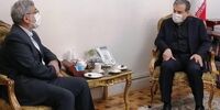 تصویری از دیدار سردار قاآنی با عراقچی