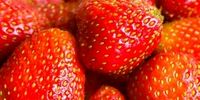 بهترین میزان مصرف توت فرنگی؛این میوه هم ضد سرطان است هم ضد استرس 