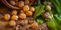 این مغز خوشمزه، عمرتان را طولانی می کند!