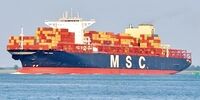 هفت خدمه کشتی MSC ARIES آزاد شدند