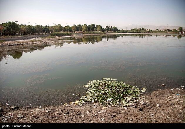 image10