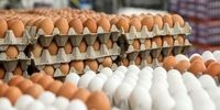 قیمت جدید مرغ و تخم مرغ در ماه رمضان