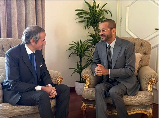 رمزگشایی از علت حضور گروسی در مذاکرات ژنو/ توصیف مقام ایرانی از انگیزه مدیرکل آژانس برای نزدیک کردن ایران و آمریکا به یک توافق