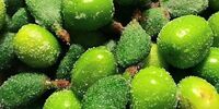 این چغاله‌بادام‌ها را نخورید