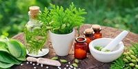 گیاهان دارویی که سرگیجه را ضربه فنی می کند!