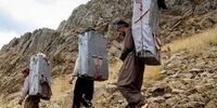 آقای وزیر کشور! نمی توان کولبری را تعطیل کرد