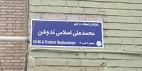 محمدعلی اسلامی ندوشن صاحب خیابان شد 
