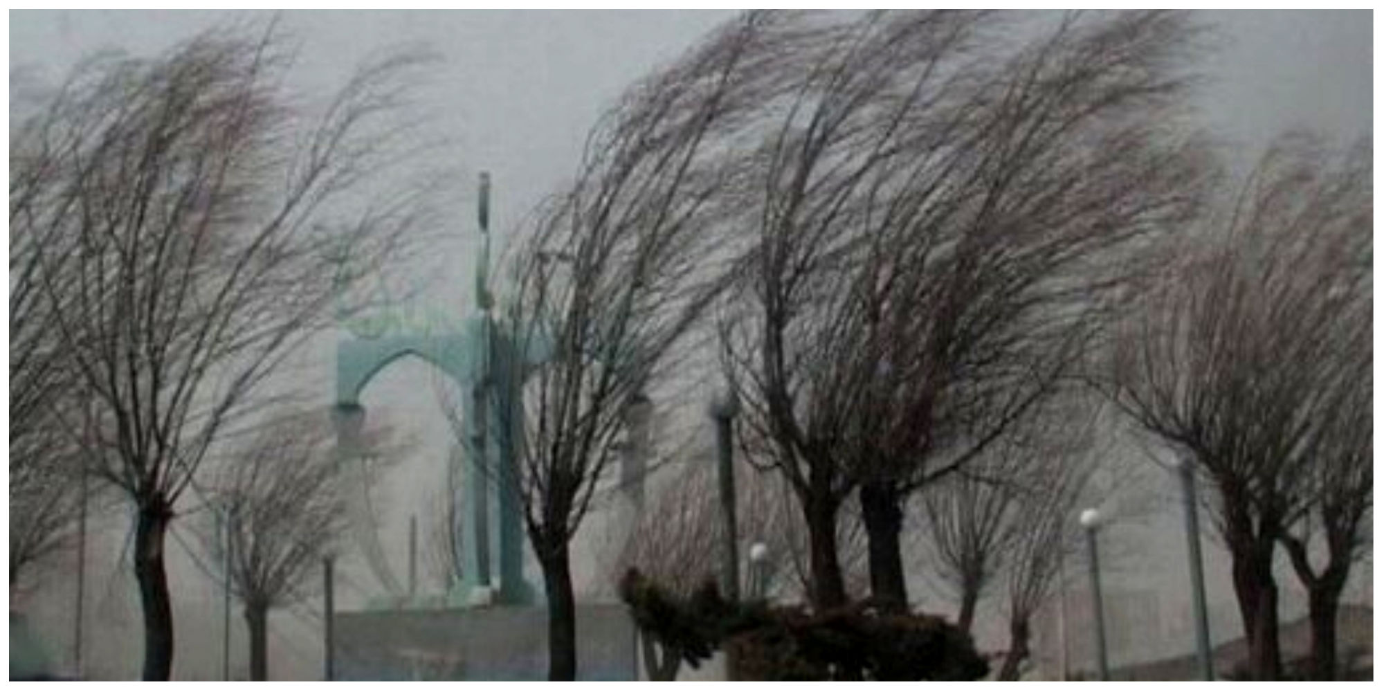 وزش باد شدید در پایتخت/ مراقب سقوط بهمن باشید