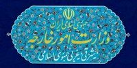 وزارت خارجه بیانیه صادر کرد