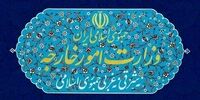 وزارت خارجه بیانیه صادر کرد