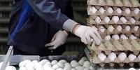 قیمت یک کیلو تخم مرغ برای مصرف‌کننده چند شد؟