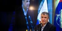 اسلامی: قصد داریم محصولات هسته‌ای‌ را صادر کنیم

​