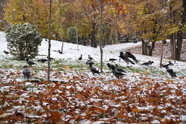 برف و سرمای پاییزی