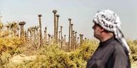 اعتراضات تیرماه خوزستان چه فرقی با گذشته داشت؟