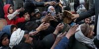 نیاز 50 درصد جمعیت افغانستان به کمکهای بشردوستانه 