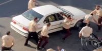 واکنش شهرداری قزوین به حادثه درگیری مأموران با دستفروشان / دو مدیر مسئول برکنار شدند
